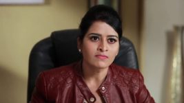 Raja Rani S01E254 Divya's Evil Notions Full Episode