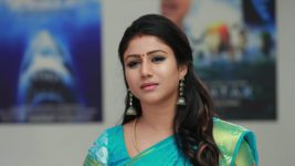 Raja Rani S01E255 Semba Goes to the Party Full Episode