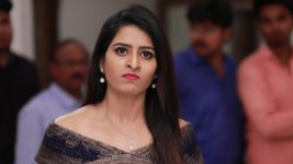 Raja Rani S01E257 Divya Lashes Out at Semba Full Episode