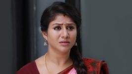 Raja Rani S01E268 Semba is Blamed Full Episode