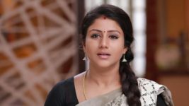 Raja Rani S01E271 Sanjay Feels Safe with Semba Full Episode