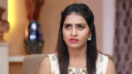 Raja Rani S01E281 Divya's Plan on Roll Full Episode