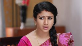 Raja Rani S01E290 Semba's Attempts to Change Full Episode