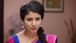 Raja Rani S01E303 Semba's Revenge Saga Full Episode