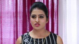 Raja Rani S01E306 Divya Outwits Semba Full Episode