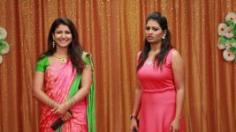 Raja Rani S01E311 Semba Catches Divya Full Episode