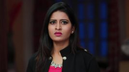 Raja Rani S01E316 Divya Gets Caught Full Episode