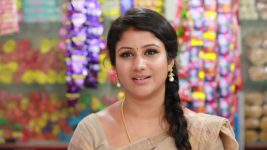 Raja Rani S01E328 Semba's Helpful Nature Full Episode