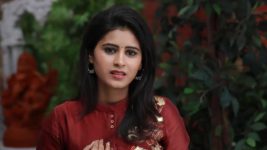 Raja Rani S01E333 Vinodhini in a Dilemma Full Episode