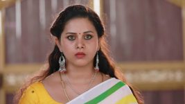 Raja Rani S01E335 Karthik to Visit Devi Full Episode