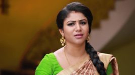 Raja Rani S01E344 Semba's Genuine Concern Full Episode