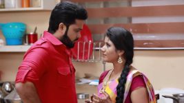 Raja Rani S01E348 Semba, Karthik's Love Full Episode