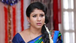 Raja Rani S01E349 Semba Gets Disqualified Full Episode