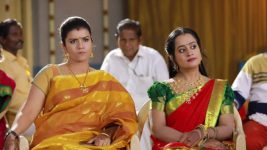 Raja Rani S01E355 Archana, Vadivu Trigger a Trouble Full Episode