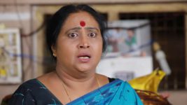 Raja Rani S01E380 Lakshmi Is Distressed Full Episode