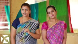 Raja Rani S01E384 Archana, Vadivu Insult Karthik Full Episode