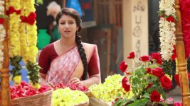 Raja Rani S01E393 Semba Helps Harish Full Episode