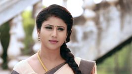 Raja Rani S01E406 Lakshmi Compliments Semba Full Episode