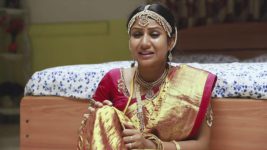 Raja Rani S01E41 Sembaruthi's Drastic Decision Full Episode