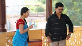 Raja Rani S01E411 Semba Confronts Amudhan Full Episode