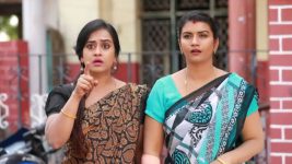 Raja Rani S01E416 A Shocker for Archana, Vadivu Full Episode