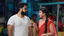 Raja Rani S01E429 Semba, Karthik's Pongal Shopping Full Episode