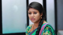 Raja Rani S01E434 Semba Is Helpless Full Episode