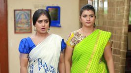 Raja Rani S01E438 Archana, Vadivu Taunt Semba Full Episode