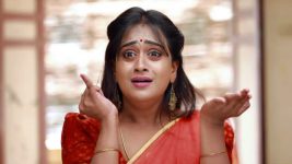 Raja Rani S01E450 Swarna Wins Over Vadivu Full Episode