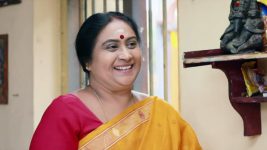 Raja Rani S01E452 It's Lakshmi's Birthday! Full Episode