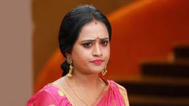 Raja Rani S01E521 Vadivu Tries to Corner Semba Full Episode