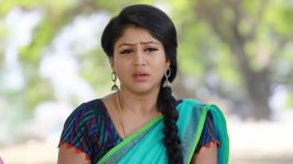 Raja Rani S01E542 Semba Is in Trouble Full Episode