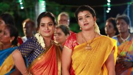 Raja Rani S01E548 Archana, Vadivu's Decision Full Episode