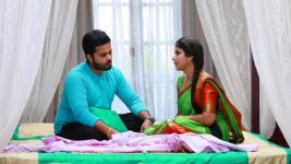 Raja Rani S01E550 Karthik Questions Semba Full Episode