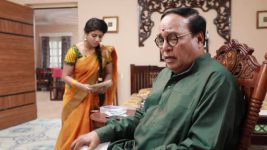 Raja Rani S01E552 Rajasekhar Confronts Semba Full Episode