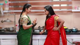 Raja Rani S01E555 Archana, Vadivu Learn the Truth Full Episode