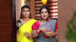 Raja Rani S01E557 Archana, Vadivu's Evil Move Full Episode