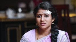 Raja Rani S01E59 Sembaruthi Fails To Nab Thief Full Episode