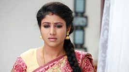 Raja Rani S01E66 Sembaruthi to Bake a Cake Full Episode