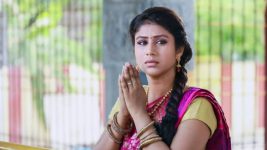 Raja Rani S01E72 Sembaruthi Prays for Karthik Full Episode