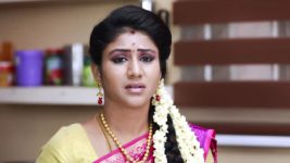 Raja Rani S01E73 Sembaruthi Helps Lakshmi Full Episode