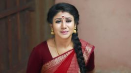 Raja Rani S01E84 Sembaruthi Returns Home Full Episode