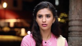 Raja Rani S02E120 Aadhi Questions Parvathy Full Episode