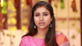 Raja Rani S02E137 Good News for Sandhya Full Episode