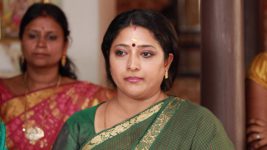 Raja Rani S02E140 Sivagami Gets an Earful Full Episode