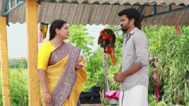 Raja Rani S02E145 Sivagami Advises Saravanan Full Episode