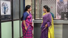 Raja Rani S02E161 Sivagami Hurts Sandhya's Feelings Full Episode