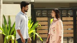 Raja Rani S02E194 Balamurugan Persuades Parvathy Full Episode