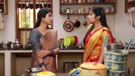 Raja Rani S02E196 Sandhya Confronts Archana Full Episode