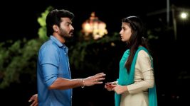 Raja Rani S02E219 Parvathy Opens up to Saravanan Full Episode